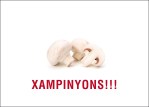 XAMPIONS